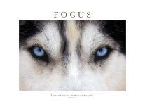 Focus - Concentration Is The Secret Of Strength-Brian Horisk-Photographic Print