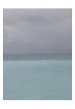 After the Rain 2025-Brian Leighton-Framed Giclee Print