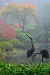 Japanese Gardens IV-Brian Moore-Photographic Print