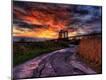 Photographic Print