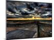 Photographic Print
