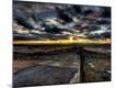 Photographic Print