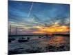 Photographic Print