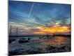 Photographic Print