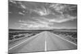 Photographic Print