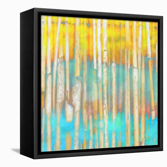 bric and brac II-Ricki Mountain-Framed Stretched Canvas