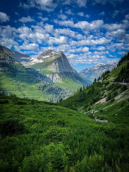 Photographic Print, , large