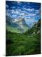 Premium Photographic Print