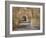 Brick Arches and Gun Placements in a Civil War Era Fort Pickens in the Gulf Islands National Seasho-Colin D Young-Framed Photographic Print