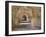 Brick Arches and Gun Placements in a Civil War Era Fort Pickens in the Gulf Islands National Seasho-Colin D Young-Framed Photographic Print