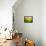 Brick House-Marcin Sobas-Framed Premier Image Canvas displayed on a wall