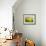 Brick House-Marcin Sobas-Framed Photographic Print displayed on a wall