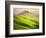 Brick House-Marcin Sobas-Framed Photographic Print