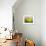 Brick House-Marcin Sobas-Framed Photographic Print displayed on a wall