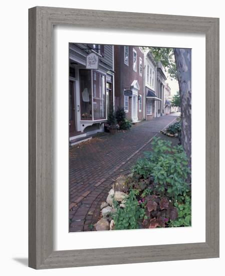 Brick Sidewalks in the Historic District of Chestertown, Maryland, USA-Jerry & Marcy Monkman-Framed Photographic Print