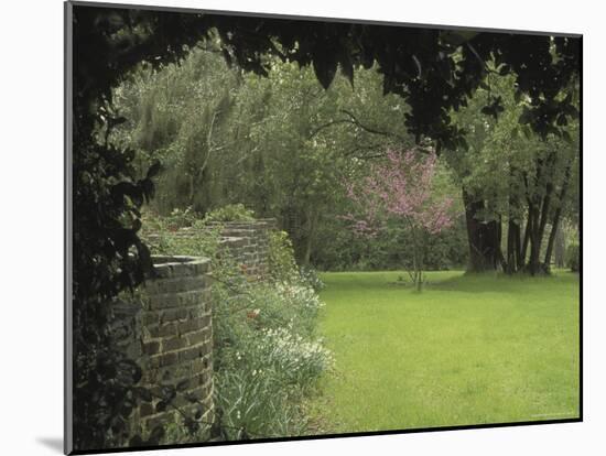 Brick Wall in Garden-null-Mounted Photographic Print