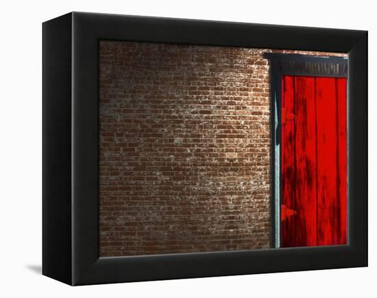 Brick Wall with a Red Door-null-Framed Premier Image Canvas