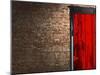 Brick Wall with a Red Door-null-Mounted Photographic Print