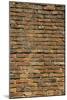 Brick Wall-null-Mounted Photographic Print