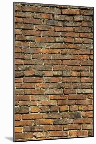 Brick Wall-null-Mounted Photographic Print