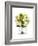 Bridal Bouquet-Lew Robertson-Framed Photographic Print