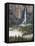 Bridal Falls, Yosemite, California, USA-Tom Norring-Framed Premier Image Canvas