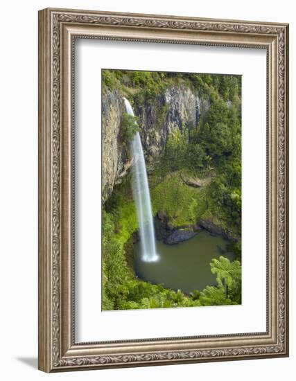 Bridal Veil Falls, Near Raglan, Waikato, North Island, New Zealand-David Wall-Framed Photographic Print