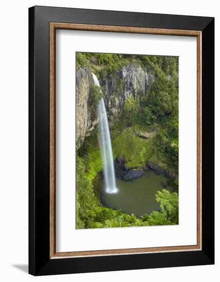 Bridal Veil Falls, Near Raglan, Waikato, North Island, New Zealand-David Wall-Framed Photographic Print