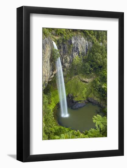 Bridal Veil Falls, Near Raglan, Waikato, North Island, New Zealand-David Wall-Framed Photographic Print