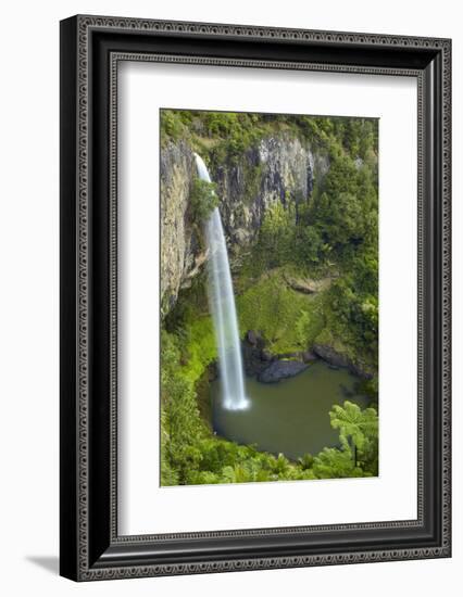 Bridal Veil Falls, Near Raglan, Waikato, North Island, New Zealand-David Wall-Framed Photographic Print