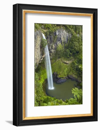 Bridal Veil Falls, Near Raglan, Waikato, North Island, New Zealand-David Wall-Framed Photographic Print