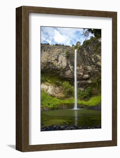 Bridal Veil Falls, Near Raglan, Waikato, North Island, New Zealand-David Wall-Framed Photographic Print