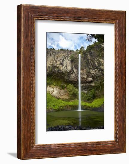 Bridal Veil Falls, Near Raglan, Waikato, North Island, New Zealand-David Wall-Framed Photographic Print