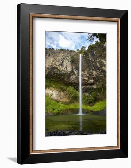 Bridal Veil Falls, Near Raglan, Waikato, North Island, New Zealand-David Wall-Framed Photographic Print