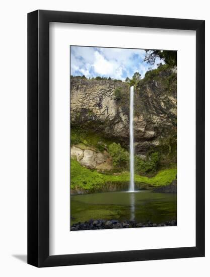 Bridal Veil Falls, Near Raglan, Waikato, North Island, New Zealand-David Wall-Framed Photographic Print