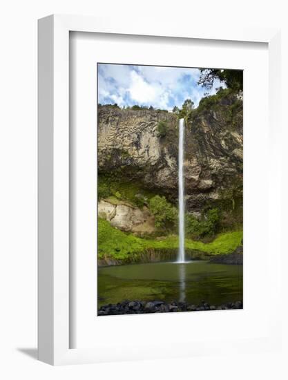 Bridal Veil Falls, Near Raglan, Waikato, North Island, New Zealand-David Wall-Framed Photographic Print