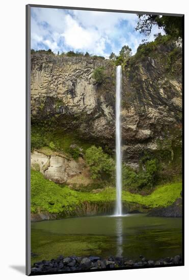 Bridal Veil Falls, Near Raglan, Waikato, North Island, New Zealand-David Wall-Mounted Photographic Print