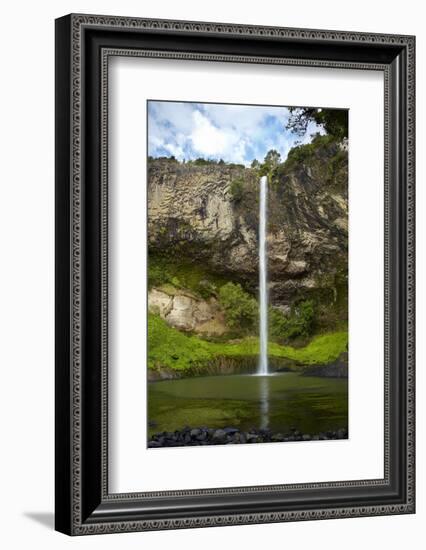 Bridal Veil Falls, Near Raglan, Waikato, North Island, New Zealand-David Wall-Framed Photographic Print