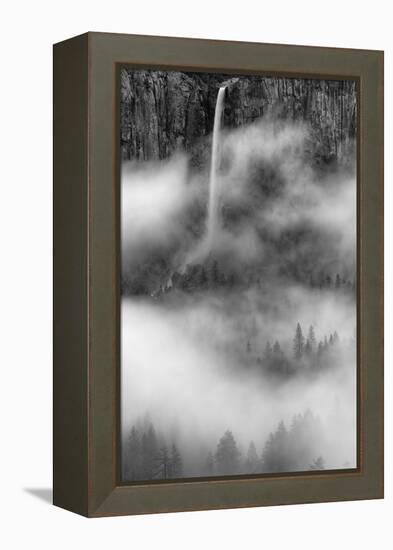 Bridalveil Fall Dreams Within Fog Yosemite Valley Black White-Vincent James-Framed Premier Image Canvas