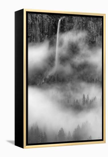 Bridalveil Fall Dreams Within Fog Yosemite Valley Black White-Vincent James-Framed Premier Image Canvas