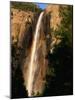 Bridalveil Fall, Yosemite National Park, California, USA-David Tomlinson-Mounted Photographic Print