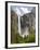 Bridalveil Falls. Yosemite National Park, CA-Jamie & Judy Wild-Framed Photographic Print