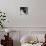 Bride and Groom Drinking Champagne After Wedding Ceremony in Manhattan-John Phillips-Photographic Print displayed on a wall