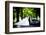 Bride and Groom in Car-HalfPoint-Framed Photographic Print