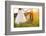 Bride and Groom with a White Wedding Bike-HalfPoint-Framed Photographic Print