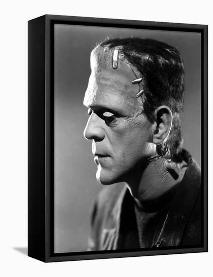 Bride of Frankenstein, Boris Karloff, 1935-null-Framed Stretched Canvas