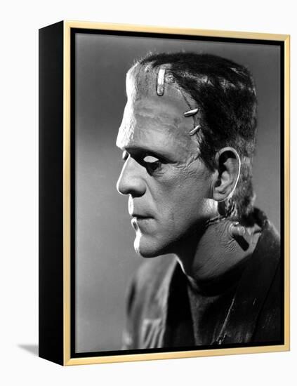 Bride of Frankenstein, Boris Karloff, 1935-null-Framed Stretched Canvas