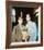 Brideshead Revisited-null-Framed Photo