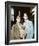 Brideshead Revisited-null-Framed Photo