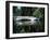 Bridge across a Swamp, Magnolia Plantation and Gardens, Charleston County, South Carolina-null-Framed Photographic Print